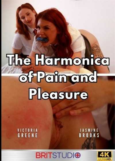 The Harmonica Of Pain And Pleasure