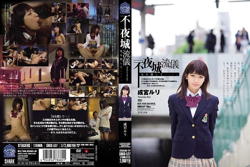 不夜城流儀 兄を捜して&hellip;。 成宮ルリ