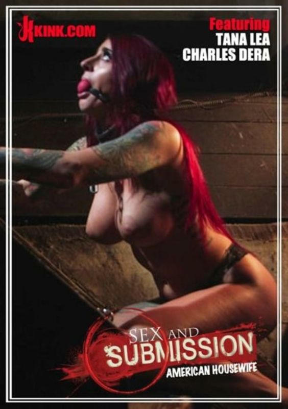 Sex And Submission – American Housewife