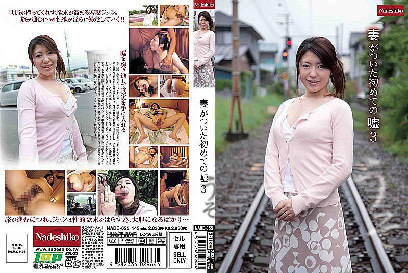 妻がついた初めての嘘 3
